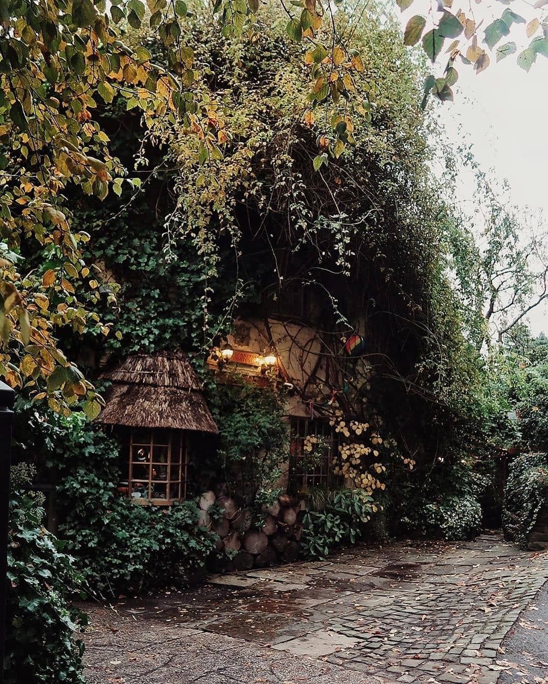 A building tucked into ivy and lit lanterns in Alderley Edge village.